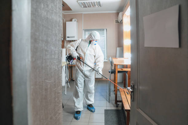 Best Mold Odor Removal Services  in East End, AR